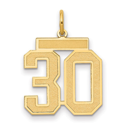 14K Gelbgold Mittel Satiniert Zahl 30 Charm