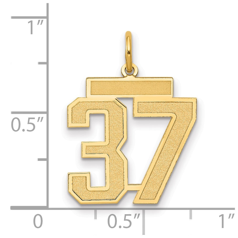 14K Gelbgold Mittel Satiniert Zahl 37 Charm