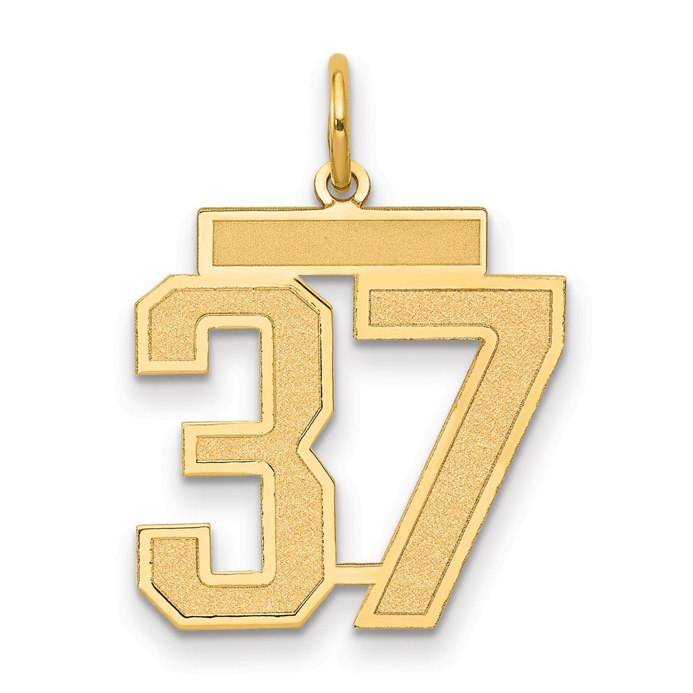 14K Gelbgold Mittel Satiniert Zahl 37 Charm