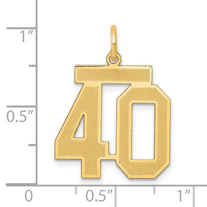 14K Gelbgold Mittel Satiniert Zahl 40 Charm