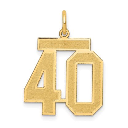14K Gelbgold Mittel Satiniert Zahl 40 Charm