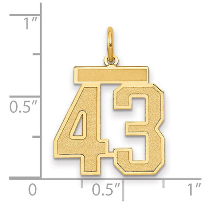 14K Gelbgold Mittel Satiniert Zahl 43 Charm