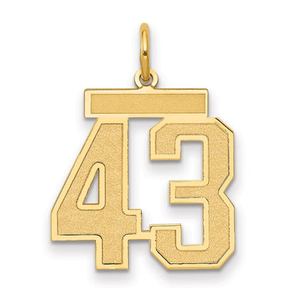 14K Gelbgold Mittel Satiniert Zahl 43 Charm