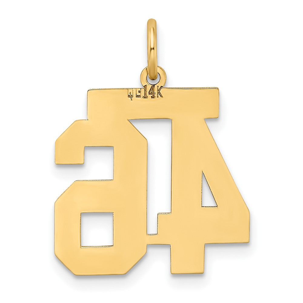 14K Gelbgold 14K Mittel Satiniert Zahl 46 Charm