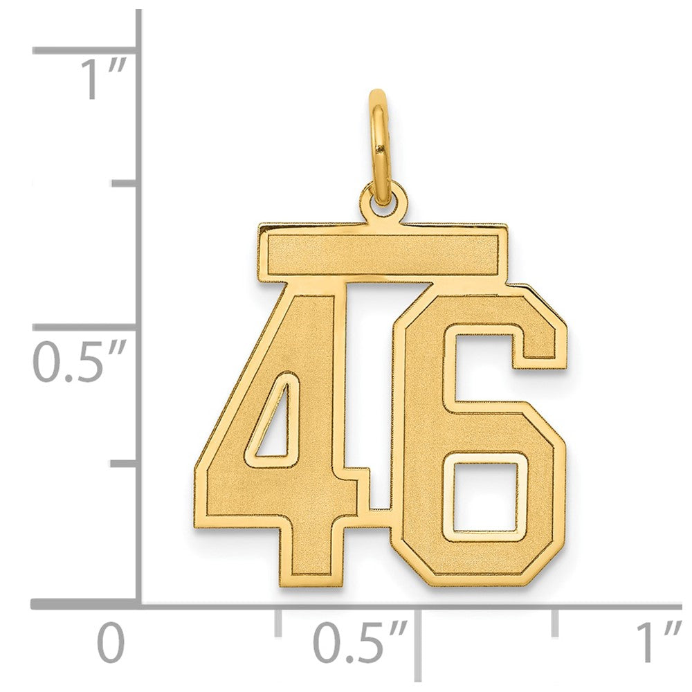 14K Gelbgold 14K Mittel Satiniert Zahl 46 Charm