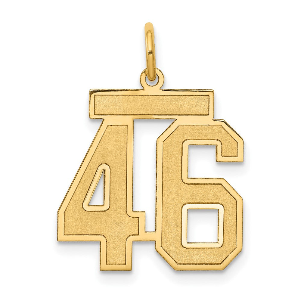 14K Gelbgold 14K Mittel Satiniert Zahl 46 Charm