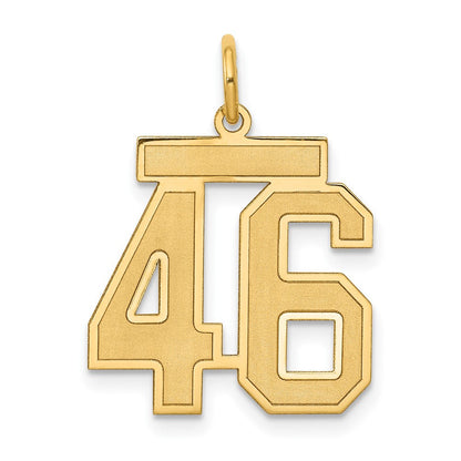 14K Gelbgold 14K Mittel Satiniert Zahl 46 Charm