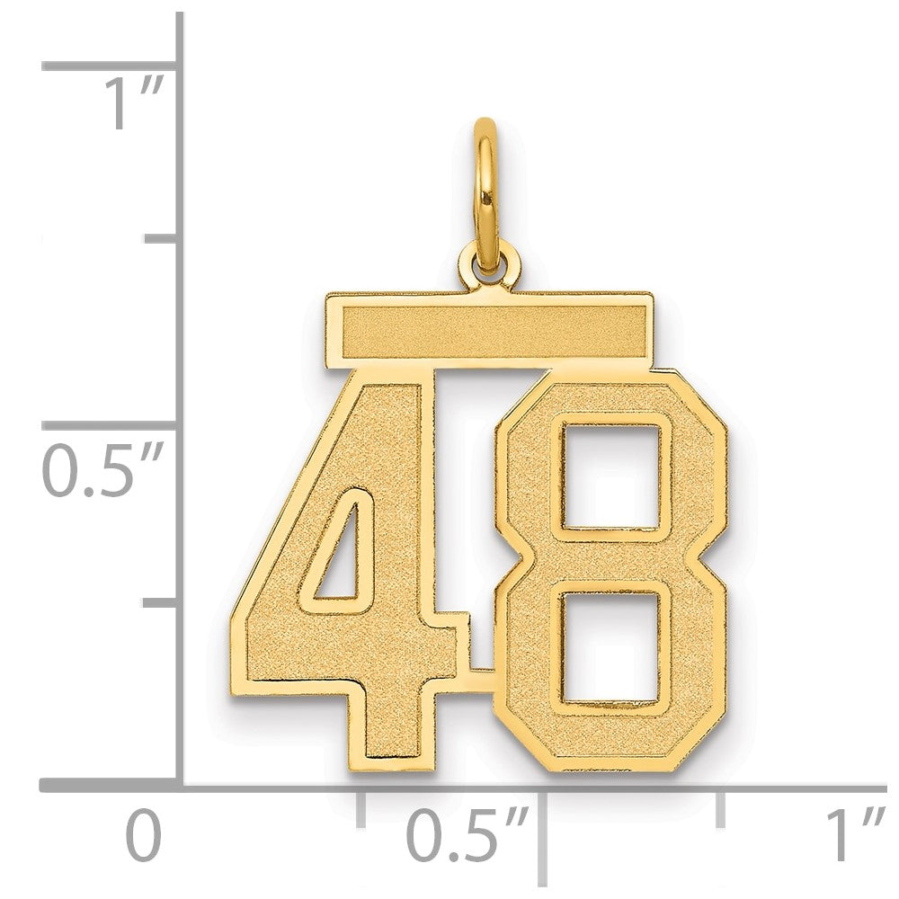 14K Gelbgold Mittel Satiniert Zahl 48 Charm
