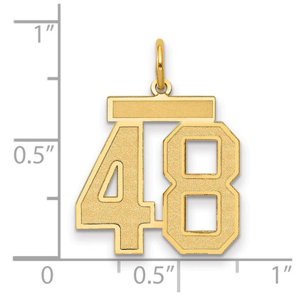 14K Gelbgold Mittel Satiniert Zahl 48 Charm