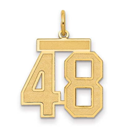 14K Gelbgold Mittel Satiniert Zahl 48 Charm