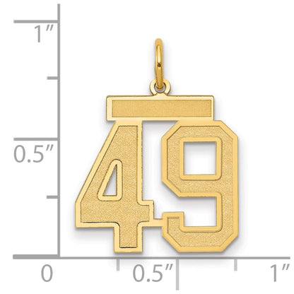 14K Gelbgold Mittel Satiniert Zahl 49 Charm