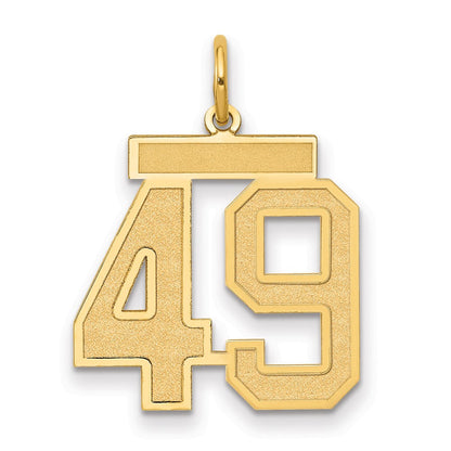 14K Gelbgold Mittel Satiniert Zahl 49 Charm
