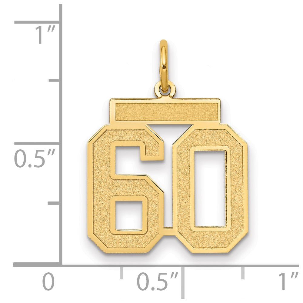 14K Gelbgold Mittel Satiniert Zahl 60 Charm