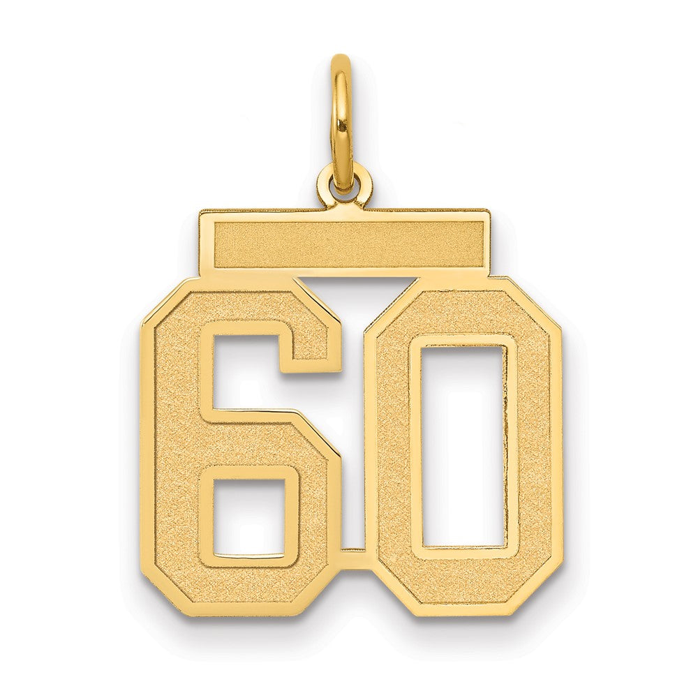 14K Gelbgold Mittel Satiniert Zahl 60 Charm