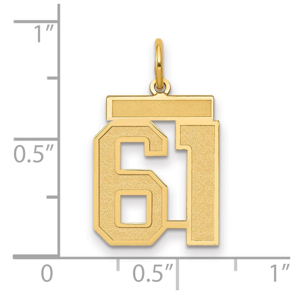 14K Gelbgold 14K Mittel Satiniert Zahl 61 Charm