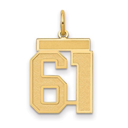 14K Gelbgold 14K Mittel Satiniert Zahl 61 Charm