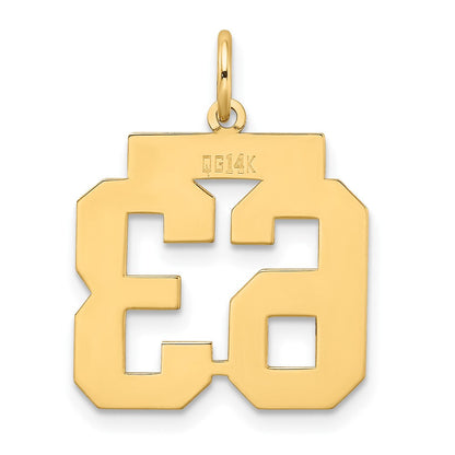14K Gelbgold Mittel Satiniert Zahl 63 Charm
