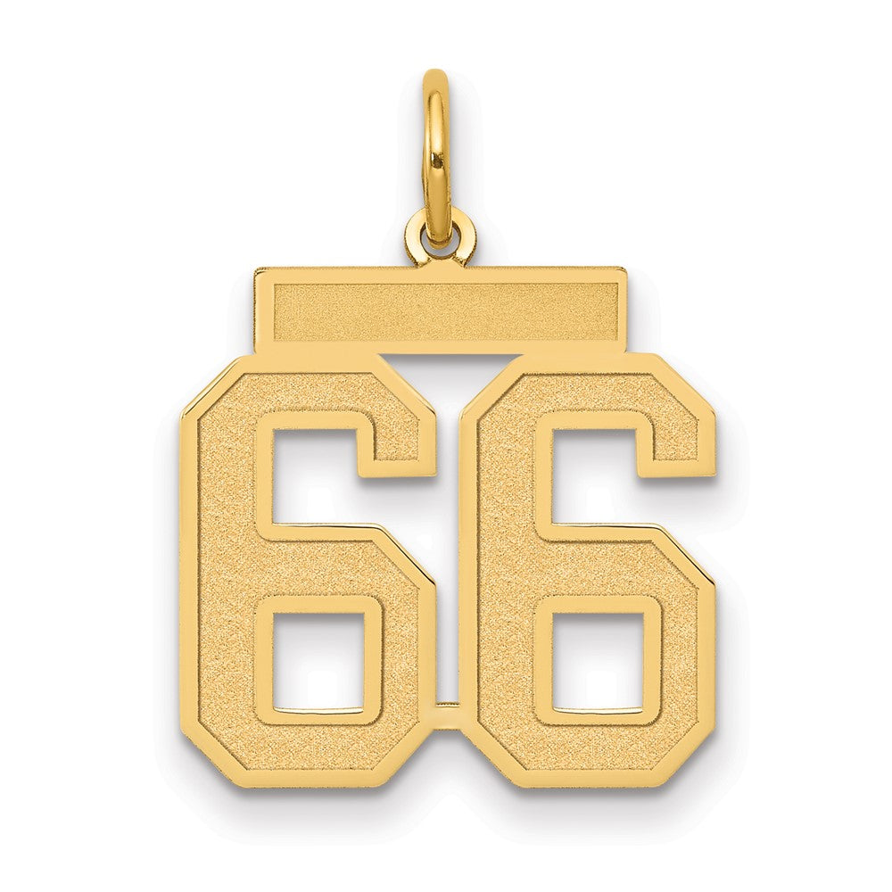 14K Gelbgold 14K Mittel Satiniert Zahl 66 Charm