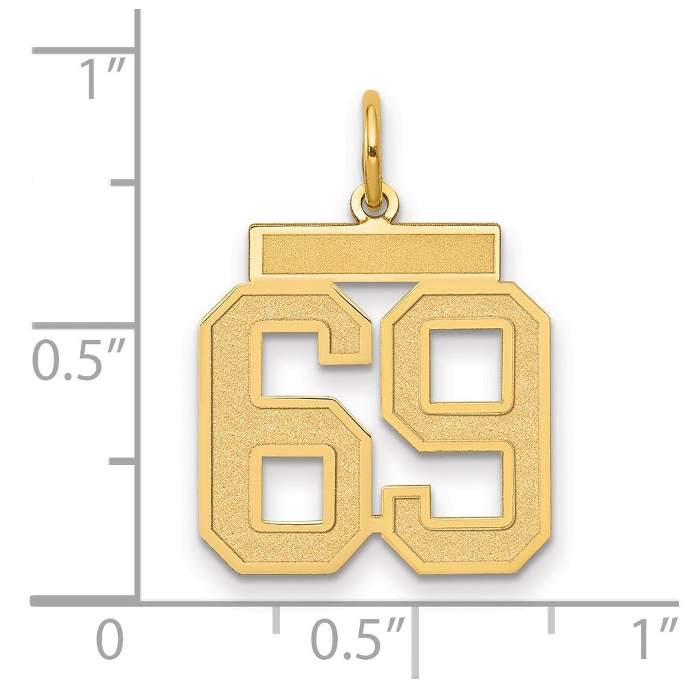 14K Gelbgold Mittel Satiniert Zahl 69 Charm