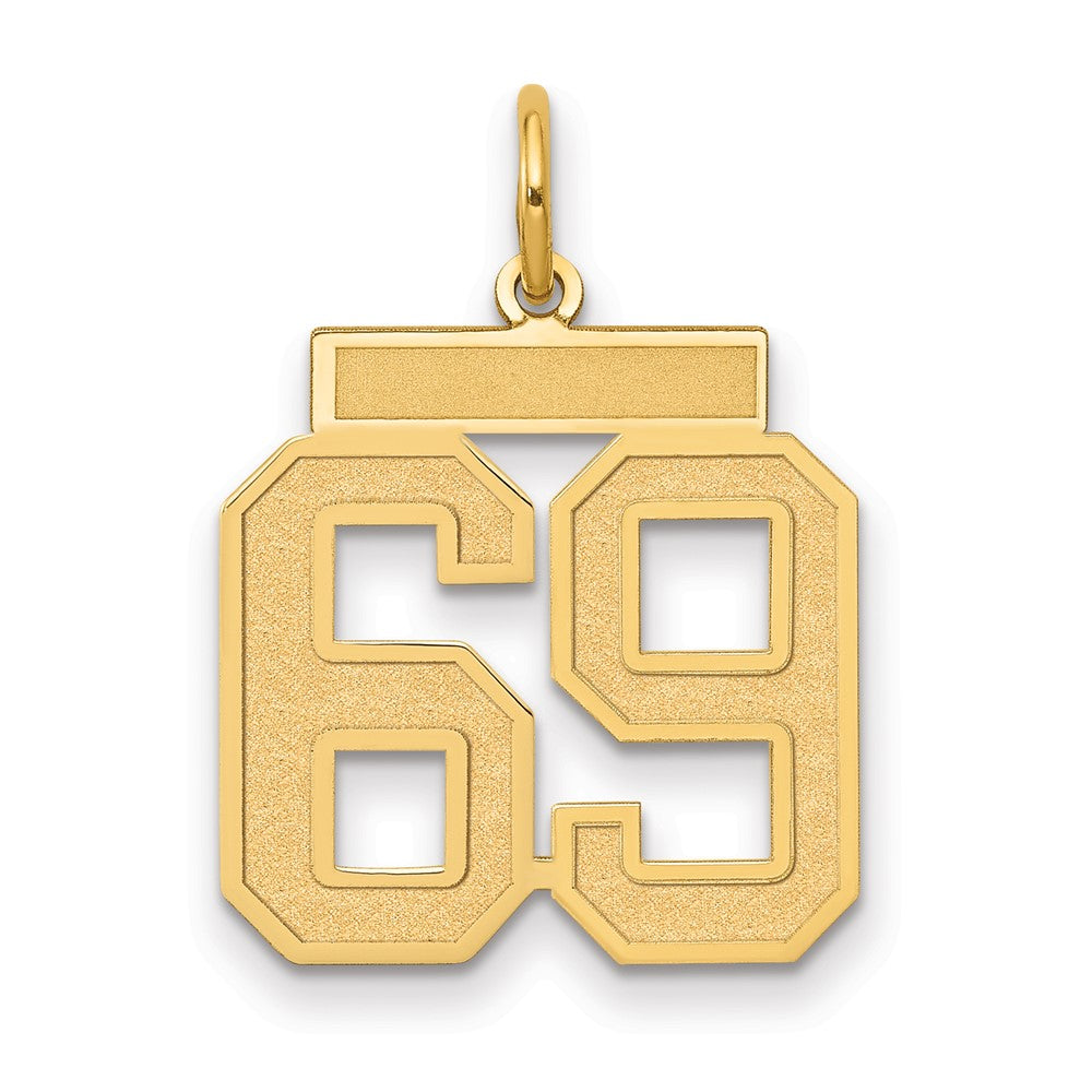 14K Gelbgold Mittel Satiniert Zahl 69 Charm