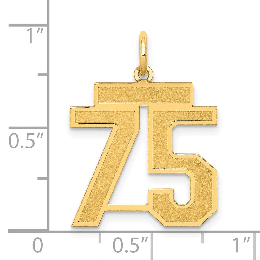 14K Gelbgold 14K Mittel Satiniert Zahl 75 Charm