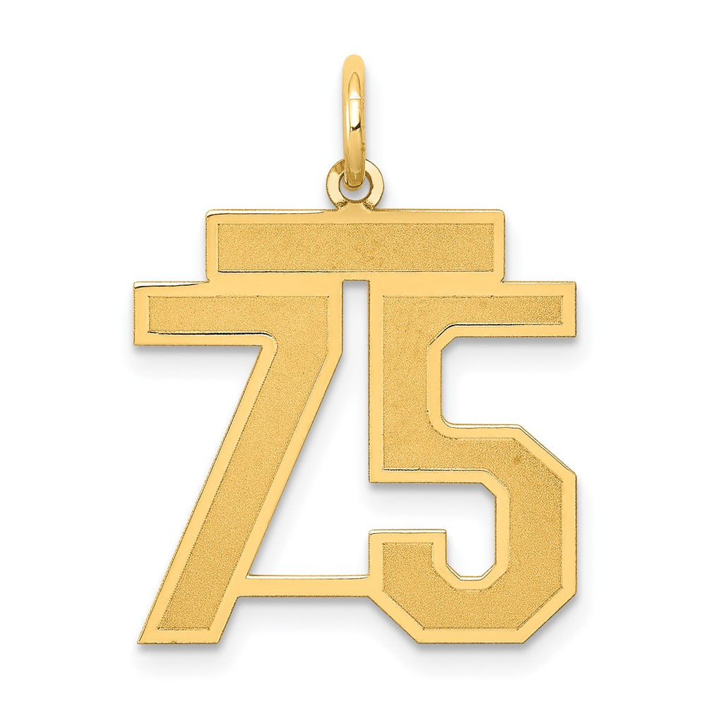 14K Gelbgold 14K Mittel Satiniert Zahl 75 Charm