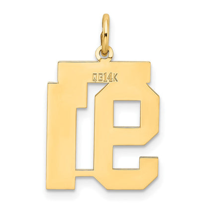 14K Gelbgold Mittel Satiniert Zahl 91 Charm