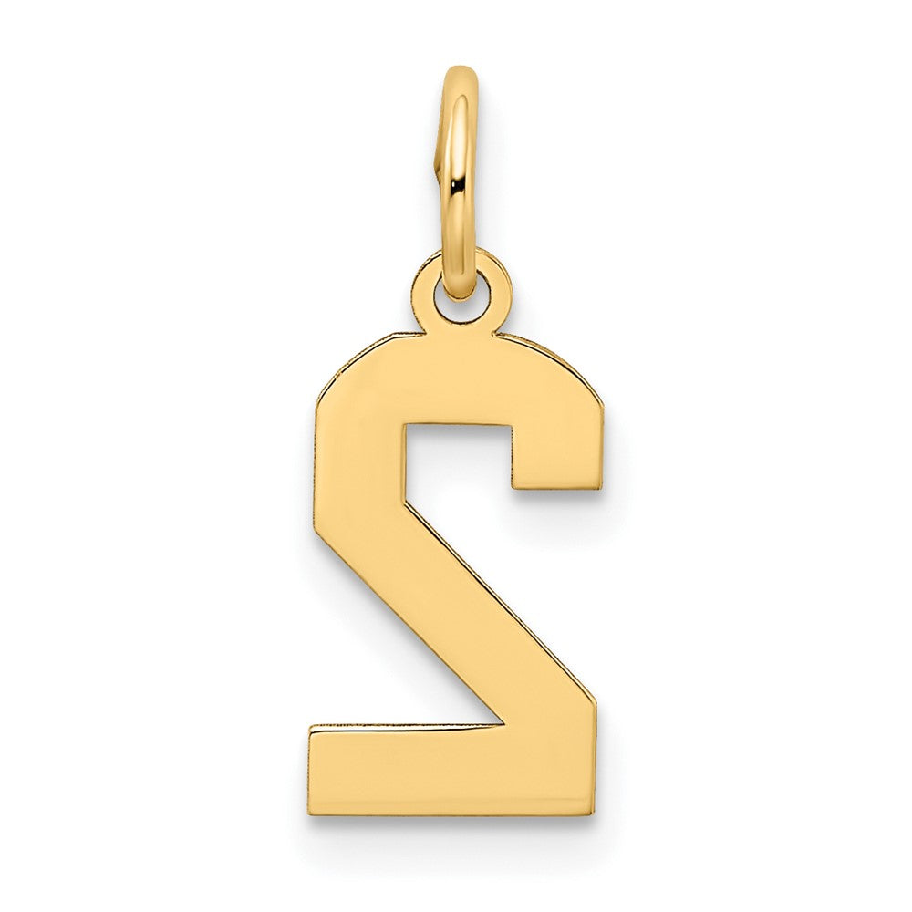 14K Gelbgold 14K Klein Satiniert Zahl 2 Charm