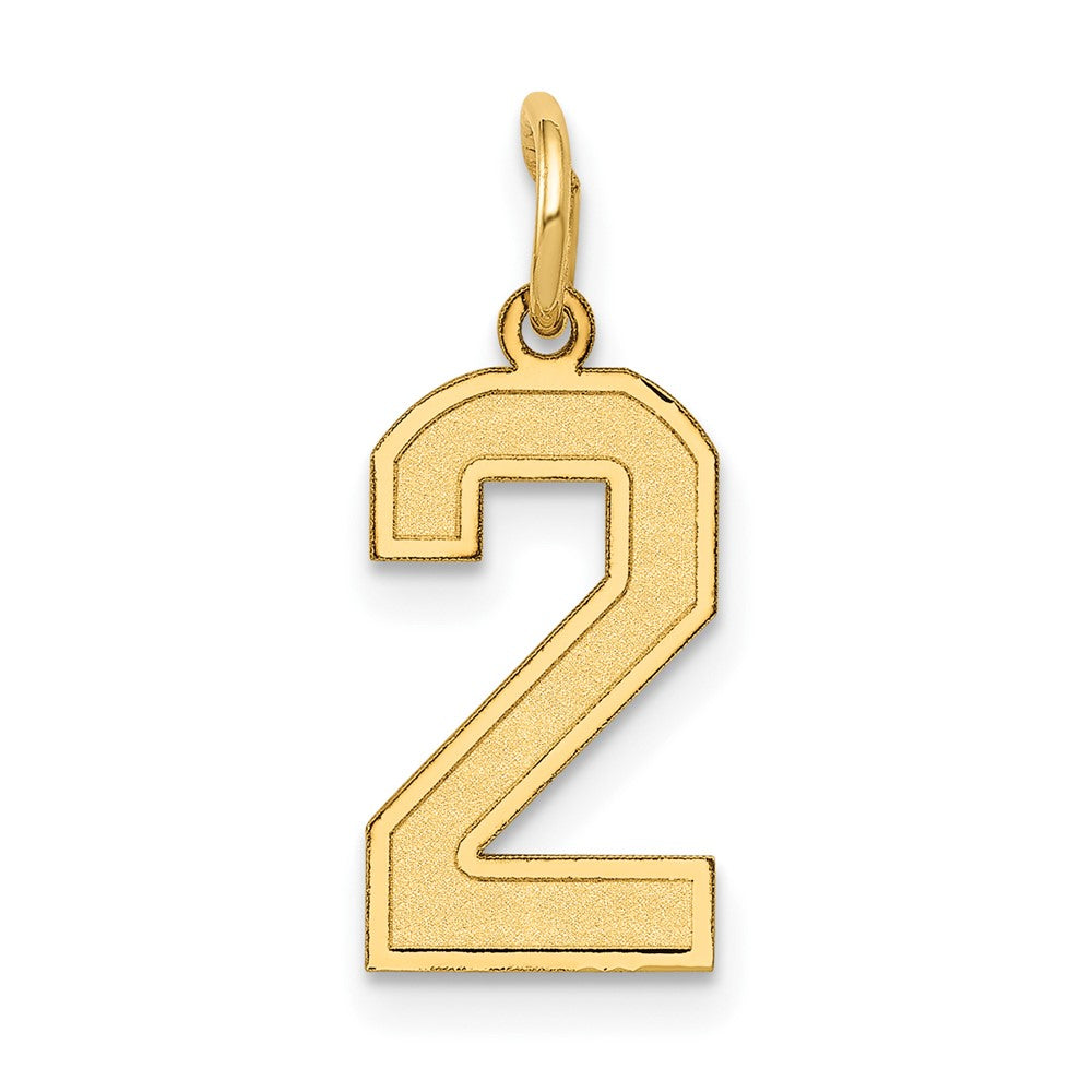 14K Gelbgold 14K Klein Satiniert Zahl 2 Charm