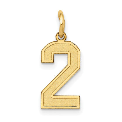 14K Gelbgold 14K Klein Satiniert Zahl 2 Charm