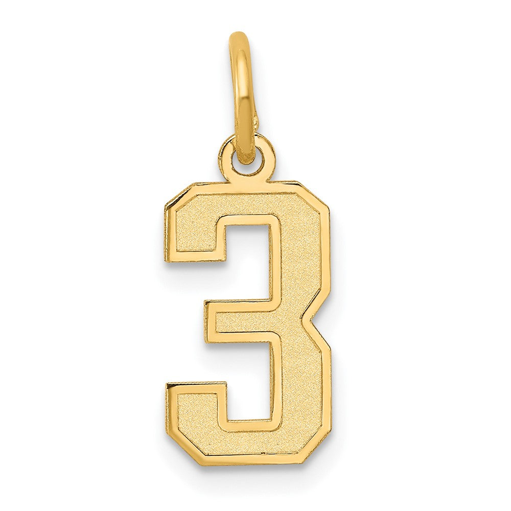 14K Gelbgold 14K Klein Satiniert Zahl 3 Charm