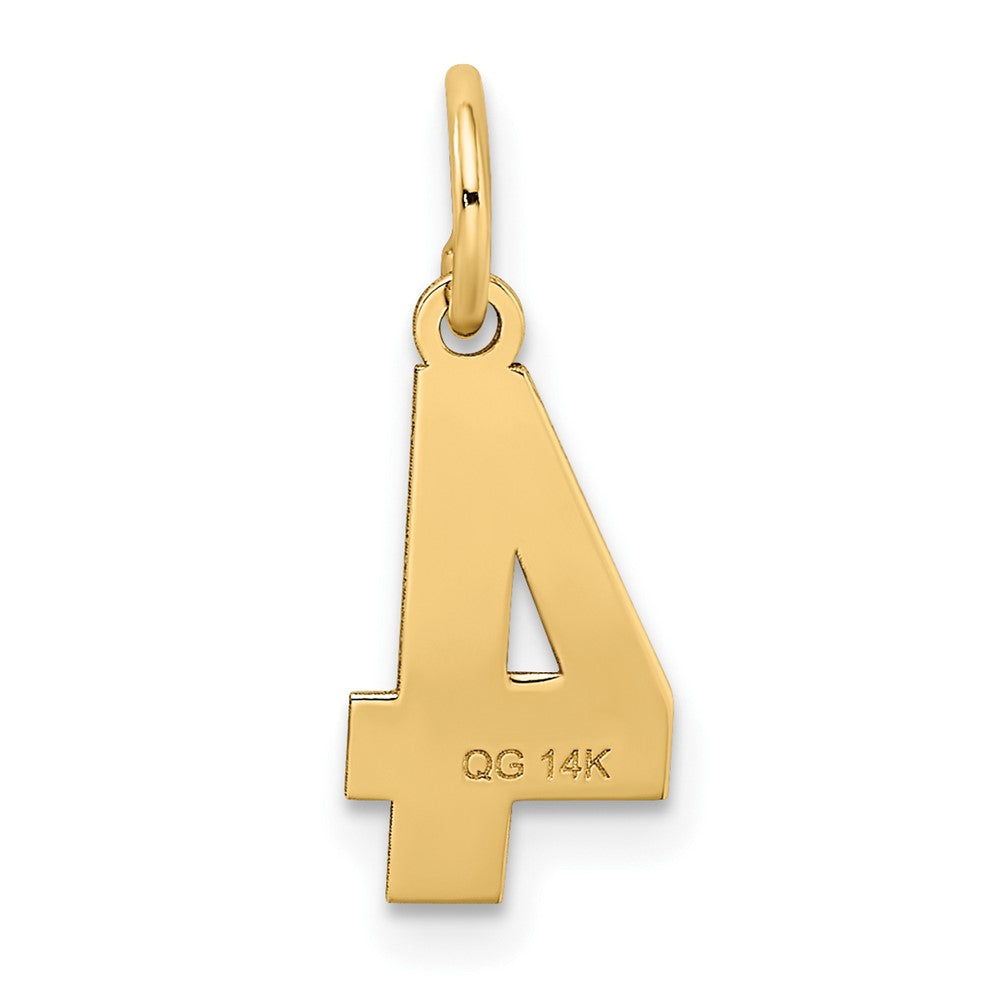 14K Gelbgold 14K Klein Satiniert Zahl 4 Charm