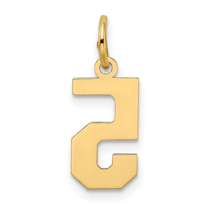 14K Gelbgold 14K Klein Satiniert Zahl 5 Charm