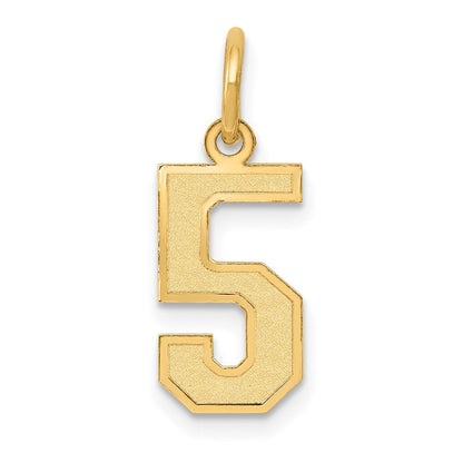 14K Gelbgold 14K Klein Satiniert Zahl 5 Charm