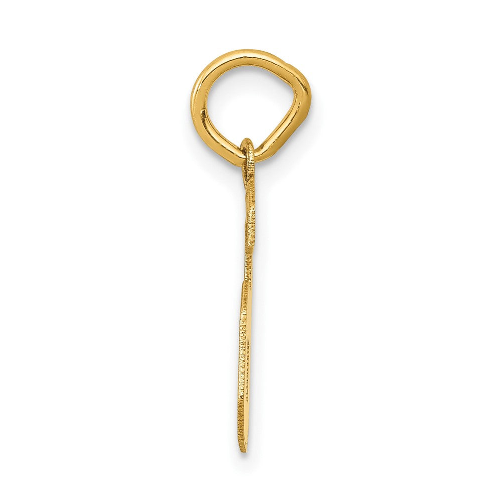 14K Gelbgold 14K Klein Satiniert Zahl 6 Charm