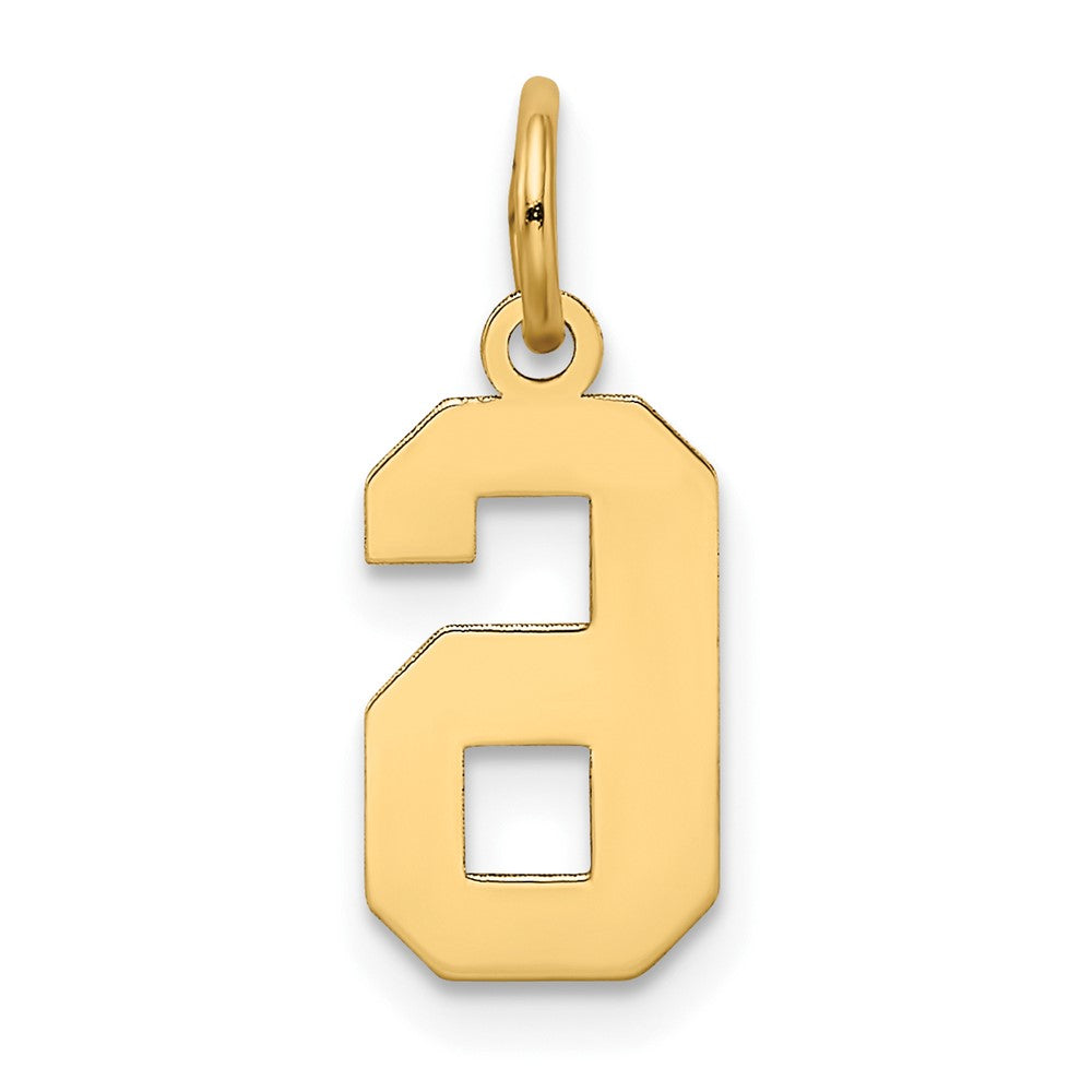 14K Gelbgold 14K Klein Satiniert Zahl 6 Charm