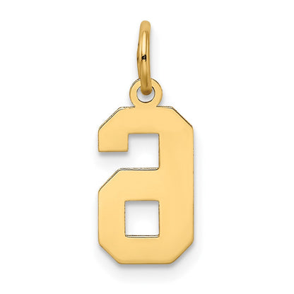 14K Gelbgold 14K Klein Satiniert Zahl 6 Charm