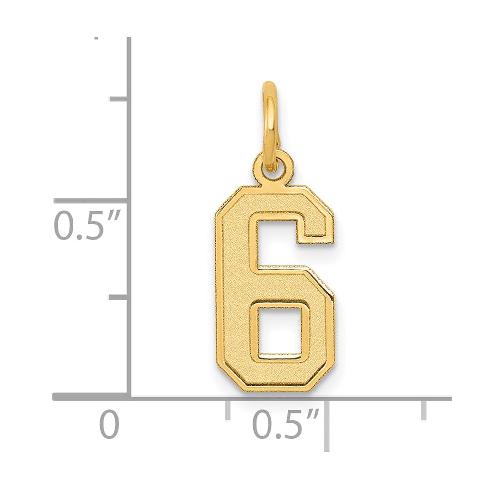 14K Gelbgold 14K Klein Satiniert Zahl 6 Charm