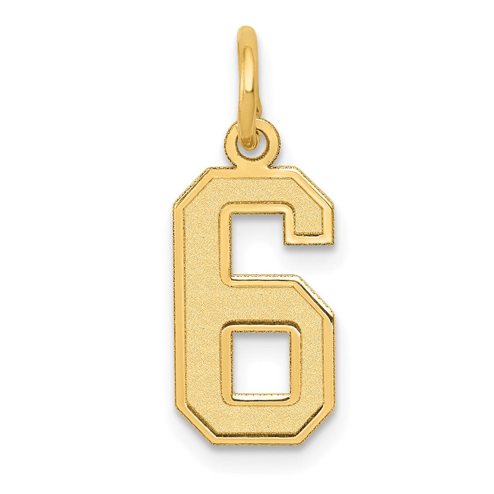 14K Gelbgold 14K Klein Satiniert Zahl 6 Charm