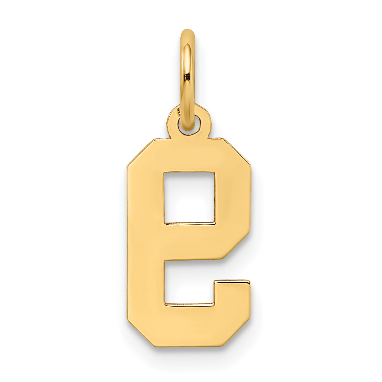 14K Gelbgold 14K Klein Satiniert Zahl 9 Charm