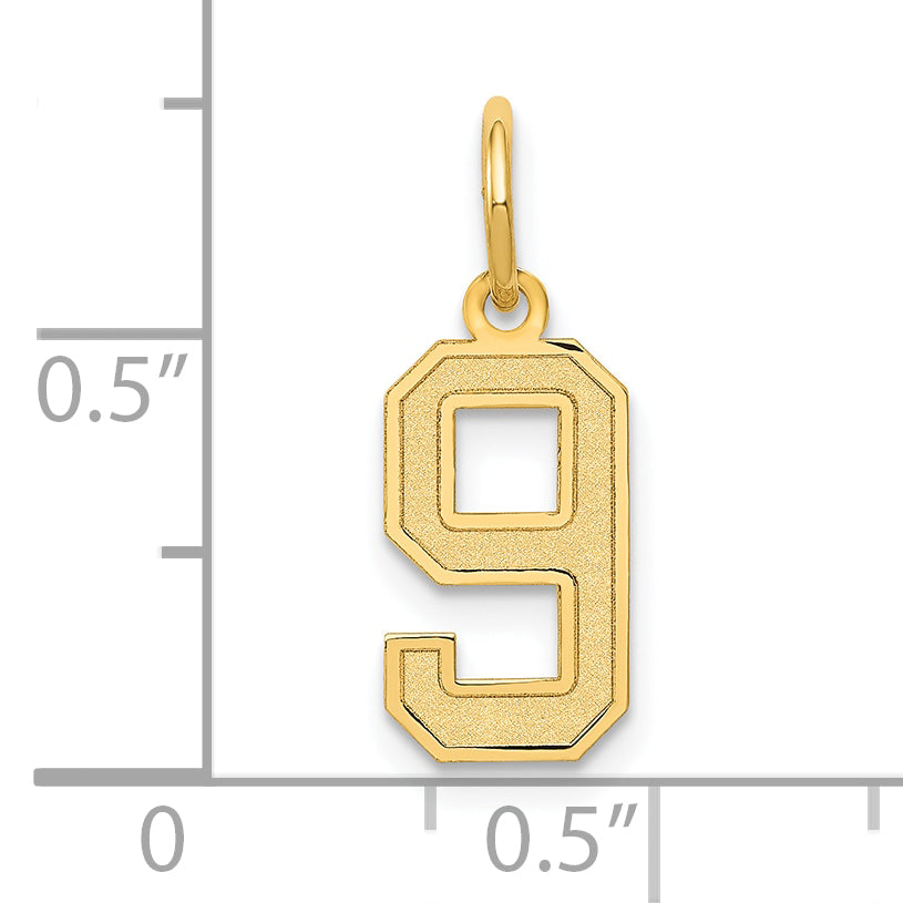 14K Gelbgold 14K Klein Satiniert Zahl 9 Charm
