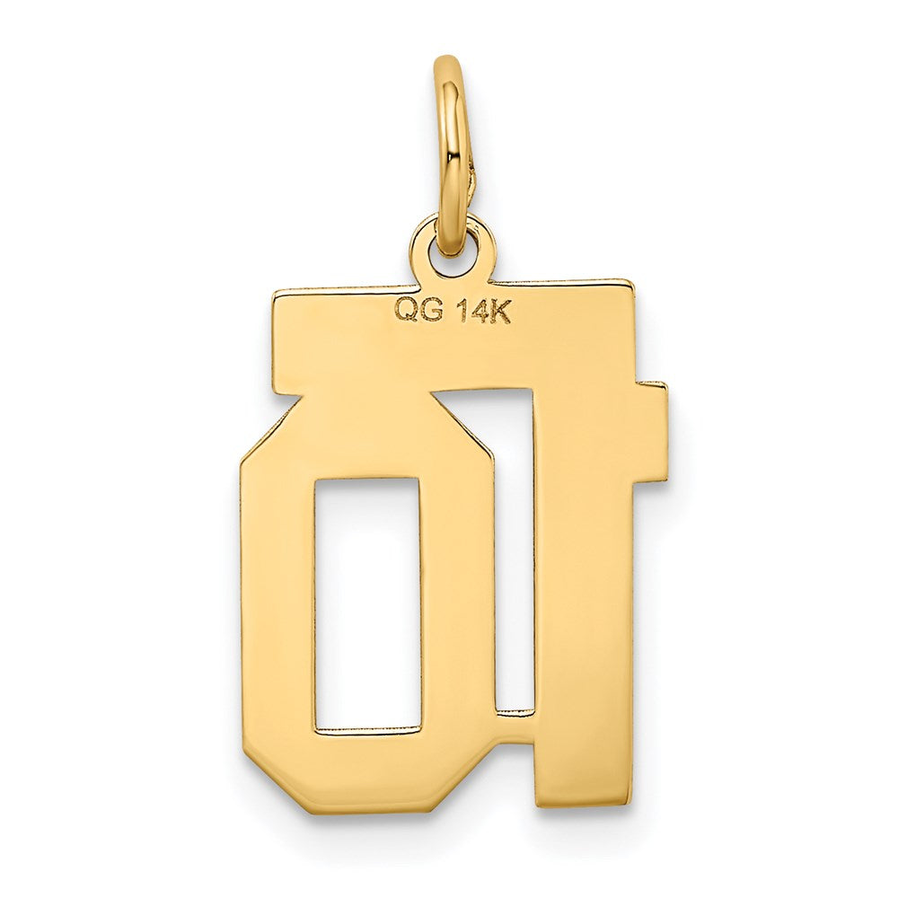 14K Gelbgold 14K Klein Satiniert Zahl 10 Charm