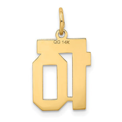 14K Gelbgold 14K Klein Satiniert Zahl 10 Charm