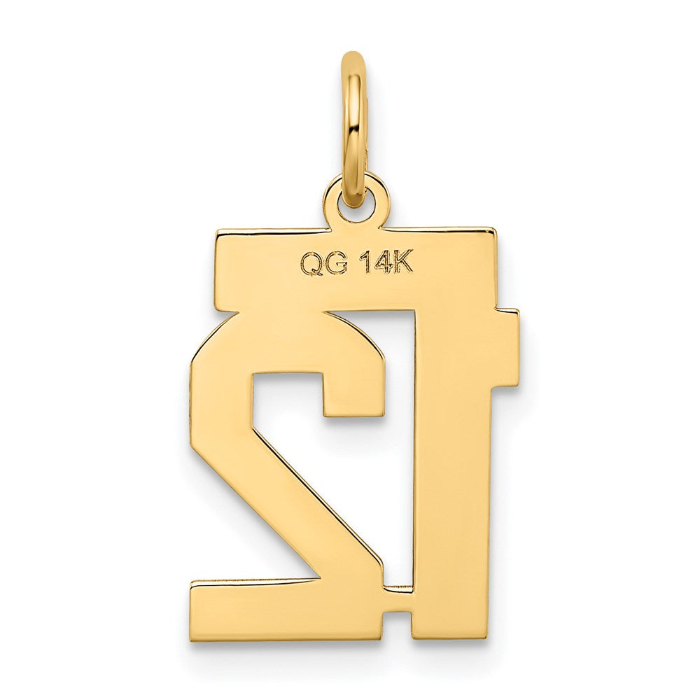 14K Gelbgold 14K Klein Satiniert Zahl 12 Charm