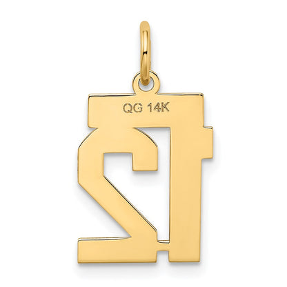 14K Gelbgold 14K Klein Satiniert Zahl 12 Charm