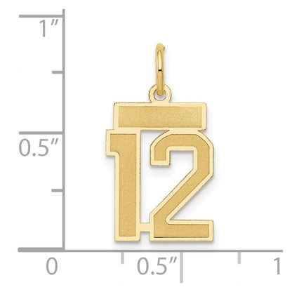 14K Gelbgold 14K Klein Satiniert Zahl 12 Charm