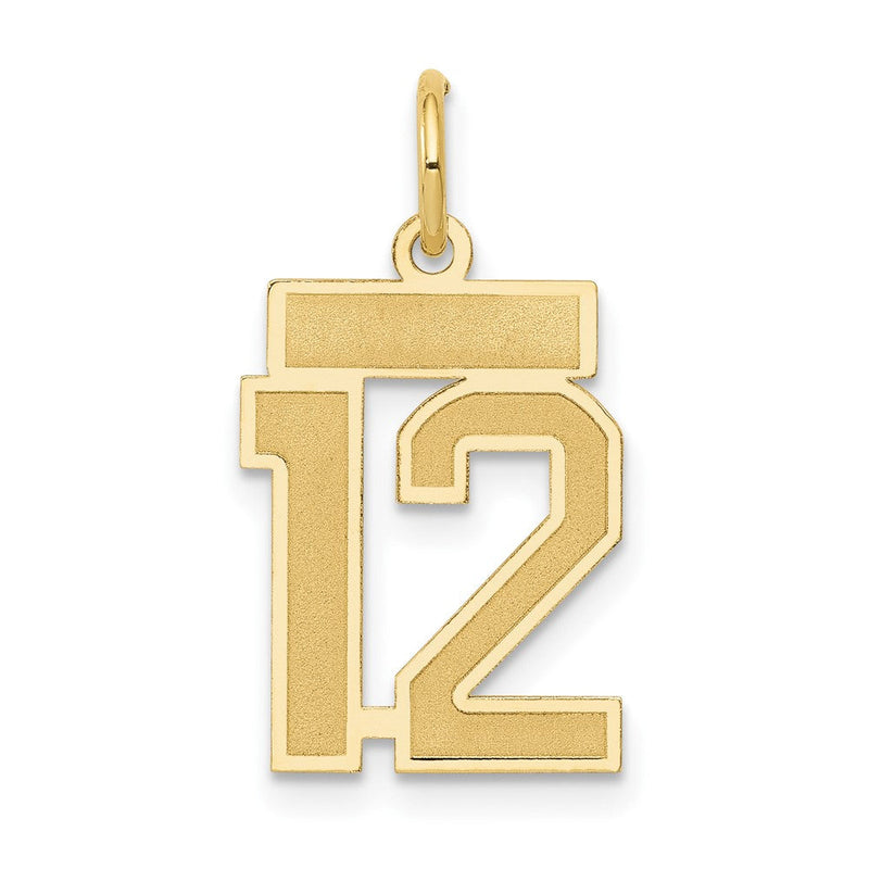 14K Gelbgold 14K Klein Satiniert Zahl 12 Charm