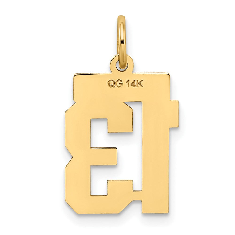 14K Gelbgold 14K Klein Satiniert Zahl 13 Charm