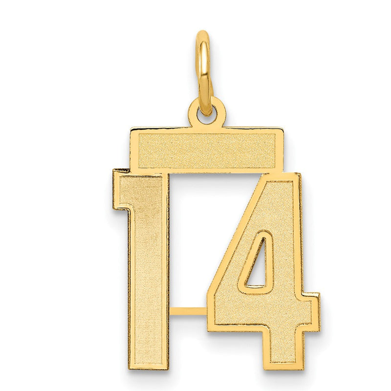 14K Gelbgold 14K Klein Satiniert Zahl 14 Charm