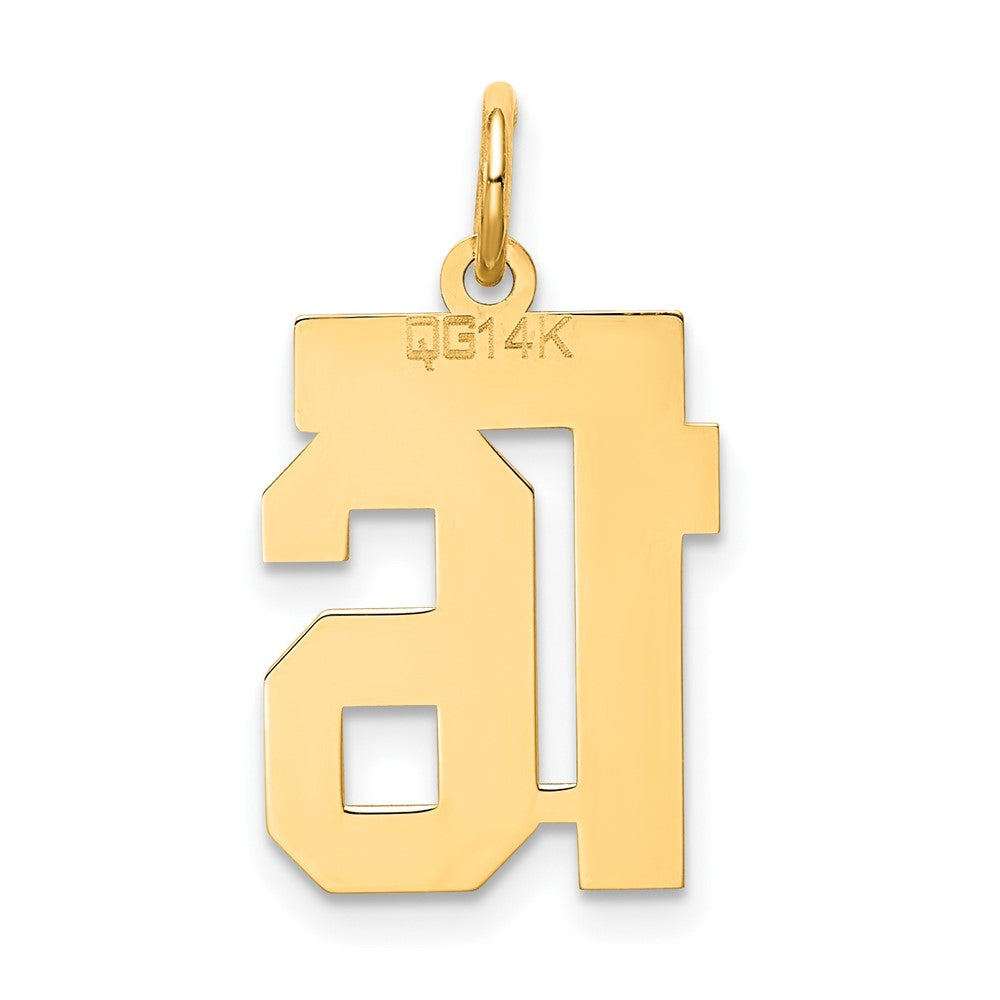 14K Gelbgold 14K Klein Satiniert Zahl 16 Charm